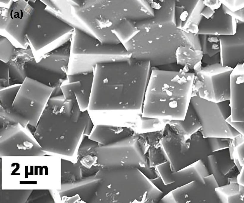 Top view FESEM micrograph of single layer thin flim membrane